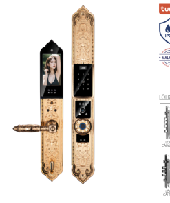 Khóa cửa điện tử biệt thự đại sảnh Avolock AC-996F-G 